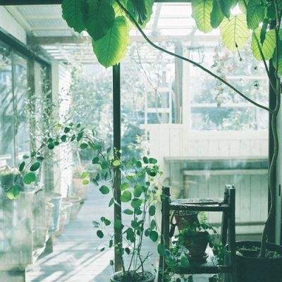 ky体育官方平台