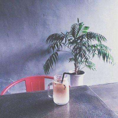 乐鱼APP下载手机版