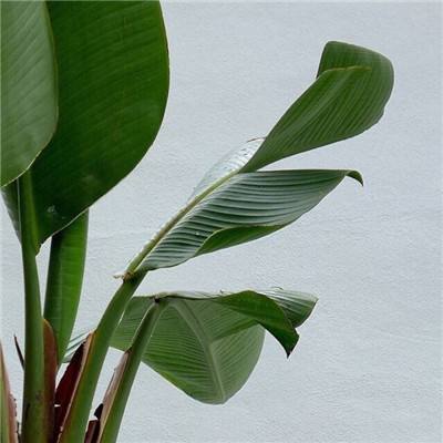 ky体育官方平台