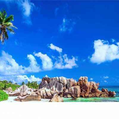 ayx爱游戏全站下载手机版